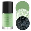 Maniology The Gardener Cream Stamping Polish Set | 6 Garden-Inspired Pastel Colors (Light Purple, Light Orange, Pink, Green, Turquoise, Light Blue)  13ml Nail Art Polish Bottles for DIY Manicures view 4