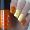 Maniology Rainbow Splash Sheer Tint Nail Art Stamping Polish Collection (Sunny Day(B271), Poppyseed(B272), Vermillion(B273), Violet Spectrum(B274), Garden Gnome(B275), Ocean Depth(B276)) view 2