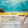 MyChelle Dermaceuticals Sun Shield Liquid Zinc SPF 30 Light/Medium - Tinted Sunscreen for All Skin With Oil-Absorbing Bentonite Clay - Use as Sheer Foundation or Makeup Primer for Matte Finish view 4