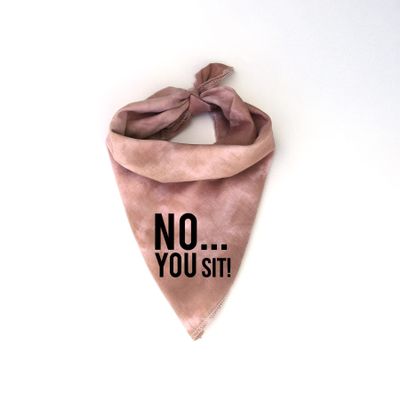 NO You SIT-sm