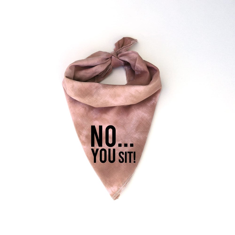 NO You SIT-sm