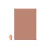 A Pound of Flesh Tattooable Synthetic Canvas  28 x 40  3mm Fitzpatrick Skin Tone 3 view 2