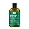 Difeel Rosemary Mint Strengthening Shampoo with Biotin 12 oz. - Made with Natural Rosemary Oil for Hair Growth view 1