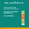 Burt's Bees Sun Care Lip Balm Pack, SPF 30 Tinted Lip Balm, Water-Resistant Moisturizer, Wild Peony, Sienna Rose, 3 Tubes, 0.15 oz. view 2