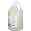 Ginger Lily Farms Botanicals All-Purpose Foaming Hand Soap Refill, Fragrance Free, 100% Vegan & Cruelty-Free, Unscented, 1 Gallon (128 fl oz) view 2
