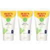Burt's Bees Gentle Face Scrub with Aloe for Sensitive Skin, 98.9% Natural Origin, 4 Fluid Ounces, Pack of 3 view 1
