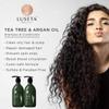 16.9 Fl oz Conditioner with Hair OIl Serum view 4