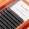 3D/4D/5D/6D - W Shaped Eyelash Extensions C/D Curl Indivdual Lash 0.07mm 8-15mm Mix Length 12 Line/Tray (6D-W Shaped Lash-C 10mm) view 1