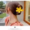 6 PCS Hair Claw Clips,Matte Flower Hair Clips,Cute Hair Catch Barrettes Jaw Clamps,Non Slip Cute Hair Accessories Headwear for Women Girls (B) view 3