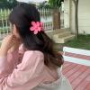 6 PCS Hair Claw Clips,Matte Flower Hair Clips,Cute Hair Catch Barrettes Jaw Clamps,Non Slip Cute Hair Accessories Headwear for Women Girls (C) view 2