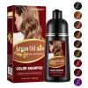 Chestnut Brown Hair Dye 16.9 Fl Oz, Argan Oil Hair Shampoo, 3 in 1 Hair Dye Shampoo, Easy To Use, Semi-Permanent Hair Color Shampoo (Chestnut Brown) view 1