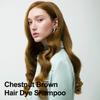 Chestnut Brown Hair Dye 16.9 Fl Oz, Argan Oil Hair Shampoo, 3 in 1 Hair Dye Shampoo, Easy To Use, Semi-Permanent Hair Color Shampoo (Chestnut Brown) view 2
