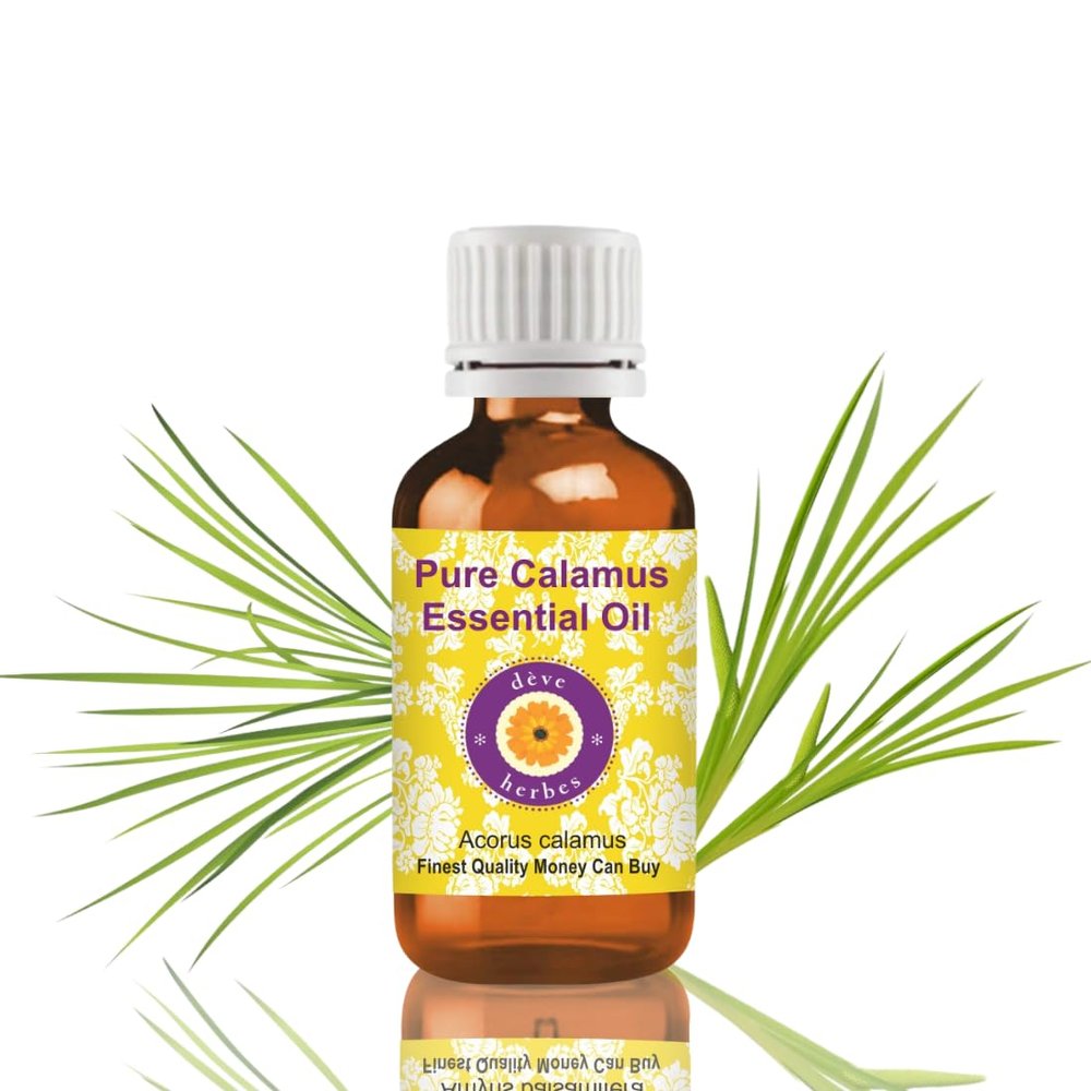 Deve Herbes Pure Calamus Essential Oil (Acorus Calamus) Steam Distilled 15ml (0.50 oz)