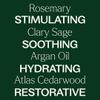Plant Therapy Hair Therapy Blend & Serum Set - Strengthen, Repair and Grow Shiny Healthy Hair, 1 oz Serum & 10 mL Essential Oil Blend view 4