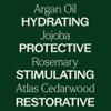 Plant Therapy Hair Therapy Strengthen & Grow Hair Repair Serum 1 oz with Argan & Castor Oil view 4