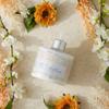 Pre de Provence Collection Shea Butter Enriched Silky Smooth Emollient Hand Lotion, Persimmon, 11 Fl Oz view 3