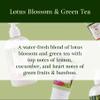 Camille Beckman Lotus Blosson & Green Tea Scented Silky Body Cream, Daily Moisturizer for All Skin Types | Non-Greasy Vegan Formula to Nourish and Soften Hands and Body, 13 Ounce view 2