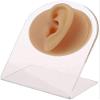 YFEIQI Soft Silicone Nose Model Body Part Displays for Practicing Piercing Suture Acupuncture Rubber Flexible Model for Jewelry Display Teaching Instructions (Ear) view 1