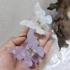 2PCS 2021 Summer Small Purple Butterfly Hair Claws Hairpin Cute Transparent Grabs Acrylic Hair Clip for Women Sweet Accessories (Color : A) view 4