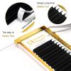 QUEWEL Easy Fan Lash Extensions 0.03mm D Curl Eyelash Extensions 15mm Single Lash Trays Matte Black Ultra Lightweight C CC D DD Curl Volume Lashes Self Fanning Lashes (0.03D 15mm) view 2