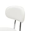Flulep Round Shape Adjustable Salon Stool with Back and Line White view 4