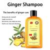Ginaday Instant Ginger Hair Regrowth Shampoo, Ginger Anti-Fall Shampoo for Hair Growth, Anti-Hair Loss Hair Shampoo (1Pcs 9.47FL.oz/280ML) view 2