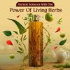 VEDA Active Herbs Hair Oil | Hair Growth Oil | Infused with Herbs | 200ml view 2