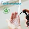 Everyone Liquid Hand Soap, 12.75 Ounce (Pack of 3), Pacific Eucalyptus, made with Essential Oils for kitchen and bathroom view 4
