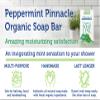 Bio-Safe Organics | Natural Organic Handmade Peppermint Pinnacle Soap | 100% Handmade Organic Soap | Exfoliating Soap Bar | All Natural Soap Bar | Moisturizing Bar Soap | Vegan | 12 Pack view 4