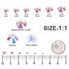 12 Grids 3792pcs Transparent AB Flatback Rhinestones Set for Nail, Art, Crafts, Makeup, Tumblers Glitter Round with Tweezers and Picking Pen(SS6~SS20) view 2