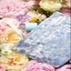 The Summer Swan | Floral Cosmetic BagLarge Aesthetic Makeup Bag Travel Personal Item Preppy Pouch Skincare (Embroidery Blue) view 3