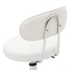 Bar Chair, Technician Stool, Round Adjustable Salon Stool with Backrest, Suitable for Restaurant, Bar view 4