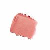 Anastasia Beverly Hills - Stick Blush (Bubble Gum) view 3