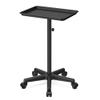 Premium Aluminum Salon Trolley Tattoo Mayo Instrument Rolling Tray Silver Salon Station with Wheels for Barber SPA Tattoo Clinic view 1