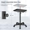Premium Aluminum Salon Trolley Tattoo Mayo Instrument Rolling Tray Silver Salon Station with Wheels for Barber SPA Tattoo Clinic view 2