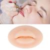 Real Touch Soft Semi Permanent 3D Silicone Lips with Fake for Training Lips Ear Tongue Eye Mouth 3D Silicone with Display Stand Practice Tool for Piercing Model Home Medicine(Clear view 4