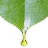 TIPSICO VALLEY FARM | All Natural - Organic Ingredients | Hyaluronic Acid 0.5% | Daily Moisturizer | 3.4 ounces (100.0 mL) view 3