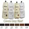 Biomed Professional Bento Energetic BB Color (500g) + Developer (500g) 10x Bigger (Black/Light Brown/Dark Brown/Light Blonde/ Dark Wine Brown/ Natural Brown) (Light Brown 6N), 1.0 Ounce, 2 view 2