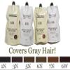 Biomed Professional Bento Energetic BB Color (400g) + Developer (400g) (Natural Brown 5N) view 2