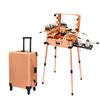 Tense Edano Aluminum Trolley Makeup Train Case with LED Lights Professional Cosmetic Organizer Studio with Speaker, Wheels and Stands Rolling Lighted Makeup Vanity Station for Travel (Rose Gold) view 1