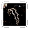 Aoligrace Double-row AAA Cubic Zirconia Wedding Headband for Women Princess CZ Headpiece Birthday Bridal Floral Headpiece view 1