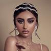 Aoligrace Double-row AAA Cubic Zirconia Wedding Headband for Women Princess CZ Headpiece Birthday Bridal Floral Headpiece view 2