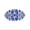 Faship Gorgeous Blue Rhinestone Crystal Floral Hair Barrette Clip view 1