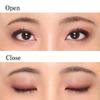 Chifure Twin Color Eyeshadow - 75 Brown view 3