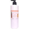 Blossom to Bath Pumpkin Spice Latte Lotion (16 ounce) - Phthalate Free Fragrance - Absorbs Quickly with a Warm Vanilla Spice Scent view 1