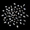 Tisslan 60pcs 6 Different Designs Flatback White Opal Nail Crystal Gems Shaped and 480pcs Round Diamond Rhinestones Assortment for Nail Decoration Charms view 3