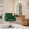 BarberPub Classic Salon Chair for Hair Stylist,Hydraulic Barber Styling Chair,Beauty Salon Spa Equipment 8818 (Green) view 2