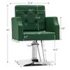 BarberPub Classic Salon Chair for Hair Stylist,Hydraulic Barber Styling Chair,Beauty Salon Spa Equipment 8818 (Green) view 3