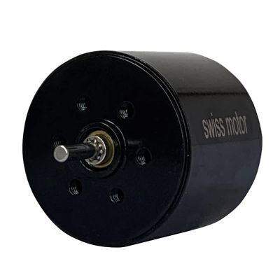2425 Swiss Motor Rotary Tattoo Machine Motor Cartridge Eyebrow Definition Tattoo Pen Alloy Rotary Tattoo Motor Shader Liner - (Speed(RPM): 11000/ Voltage(V): 12V)