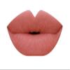 Beauty Creations Matte Lipstick (Naughty) view 4
